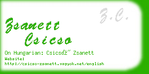zsanett csicso business card